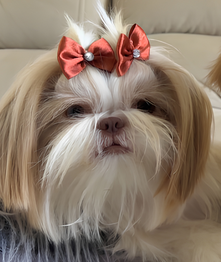 Foto real da Lupita